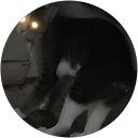 sophia liy profile picture