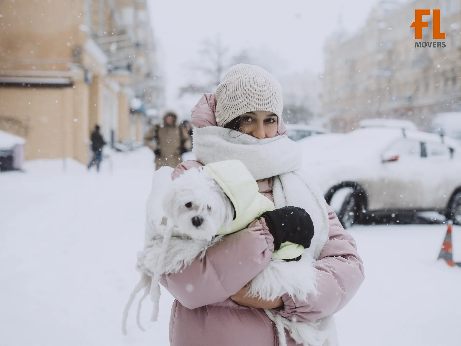 Fort Lauderdale Movers Winter Pet Frendly Moving Snow