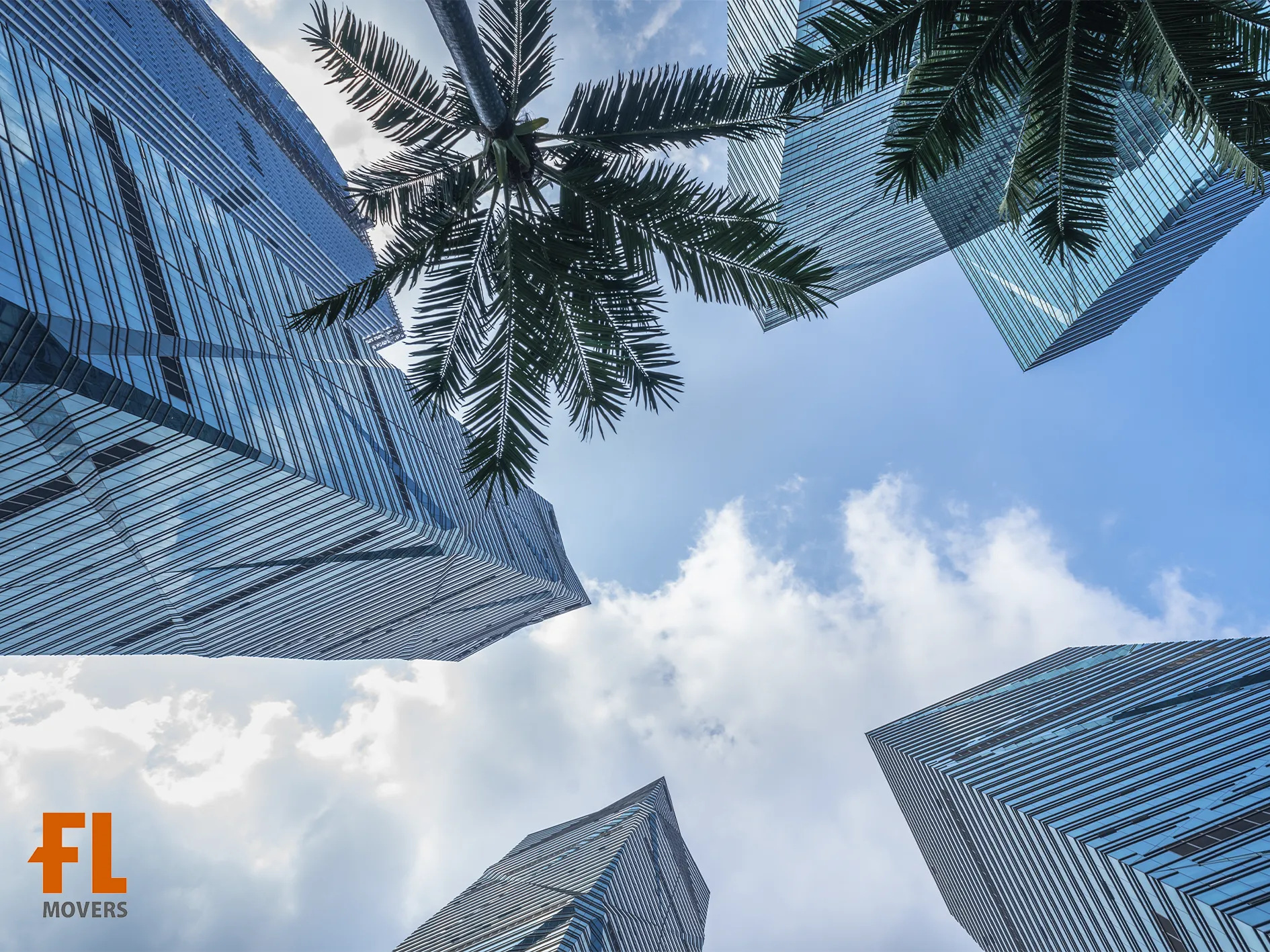 City Downtown Skylines Palms