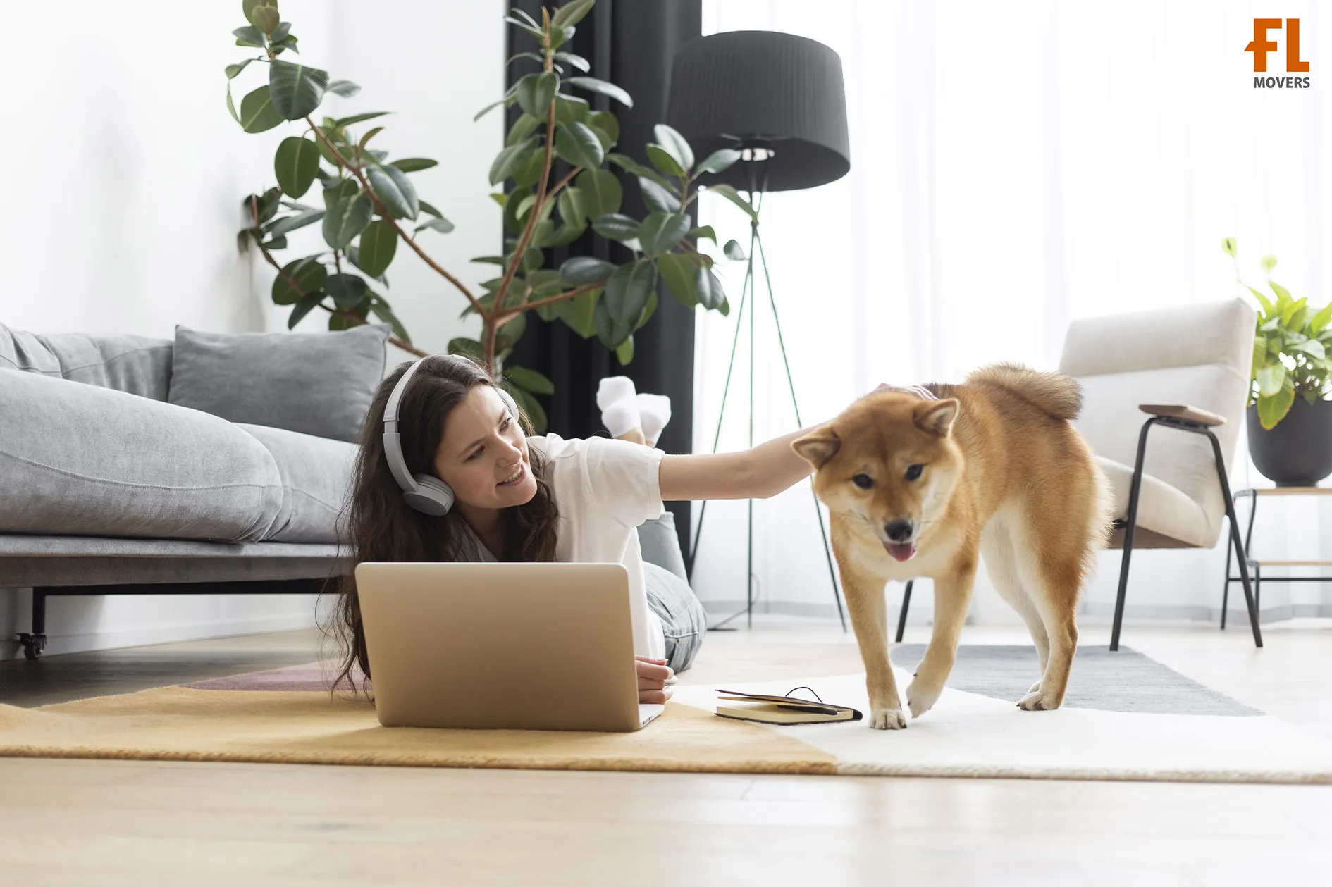 Summer Pet-Friendly Moving Service Customer and Dog Planning and Prepare for Relocation